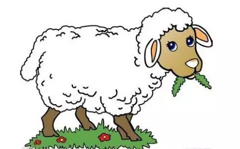 属羊的和属龙的婚姻怎么样