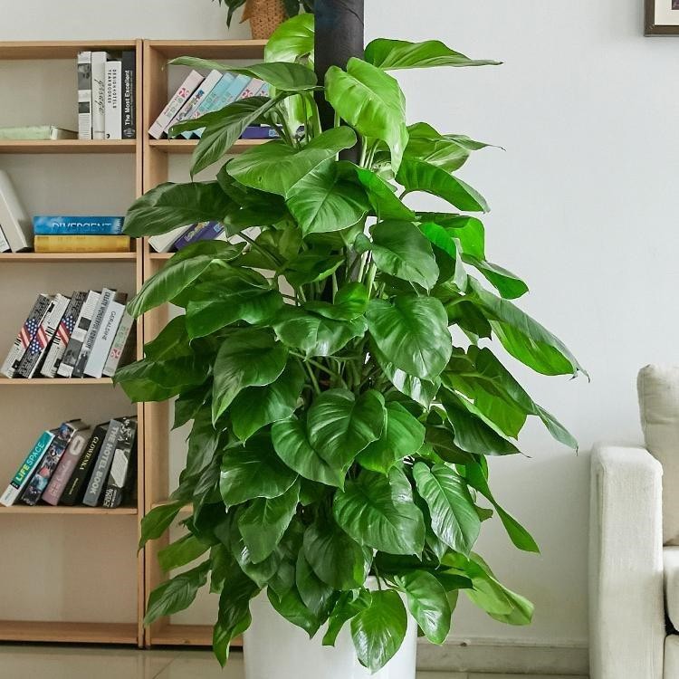 �칫�ҷ�ˮλ��ͼ���ȫ