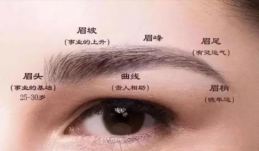 �е�����ü��ʲô˵��������������ü����ȫ����